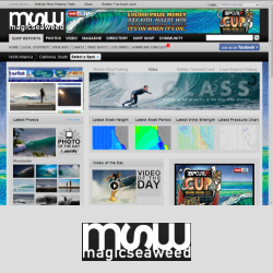 magicseaweed.com surf report